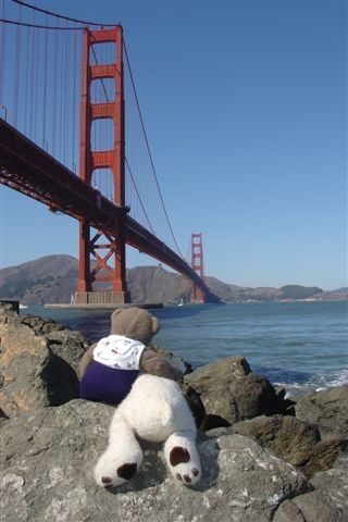 Nounours et Isidor à San Francisco